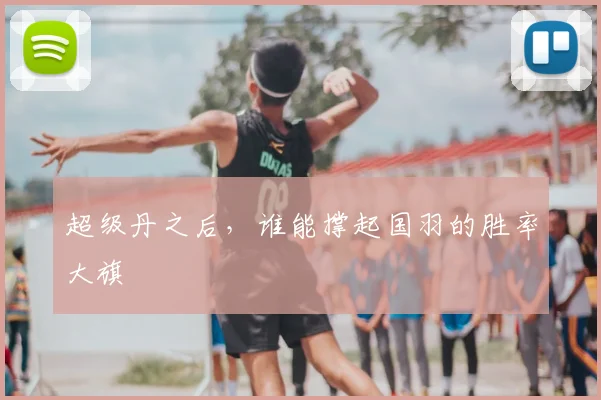 超级丹之后，谁能撑起国羽的胜率大旗