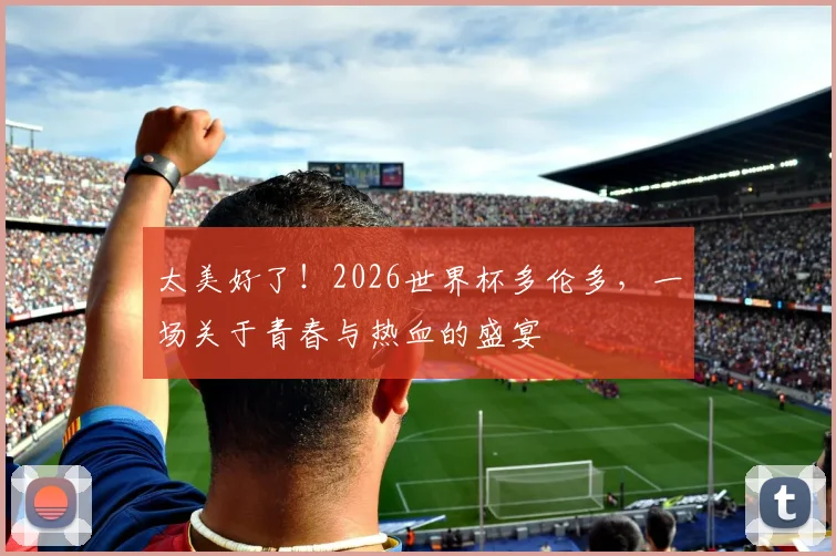 太美好了!2026世界杯多伦多,一场关于青春与热血的盛宴