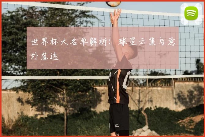 世界杯大名单解析：球星云集与意外落选
