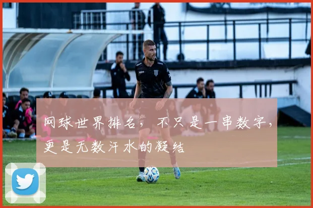 网球世界排名，不只是一串数字，更是无数汗水的凝结