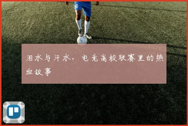 泪水与汗水,电竞高校联赛里的热血故事