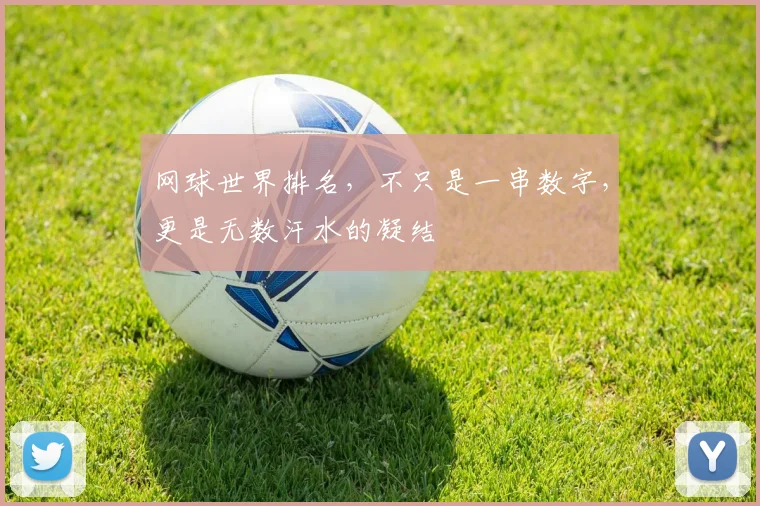 网球世界排名，不只是一串数字，更是无数汗水的凝结